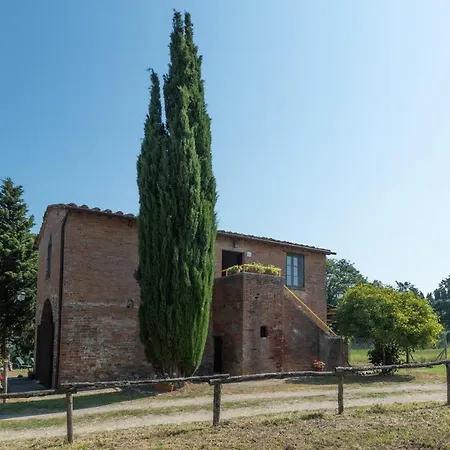 Rosmarino Citta della Pieve