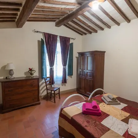 Rosmarino Città della Pieve